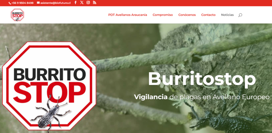 burritobanner